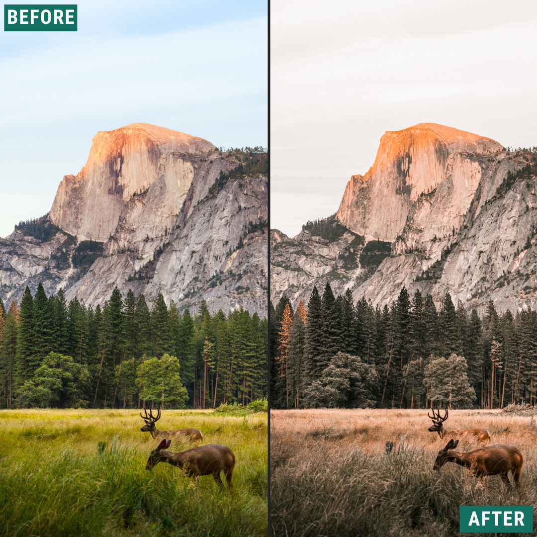 Terra Tones Lightroom-Presets-Paket