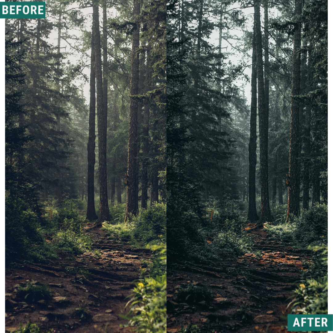 Dark Woods Lightroom Presets Pack