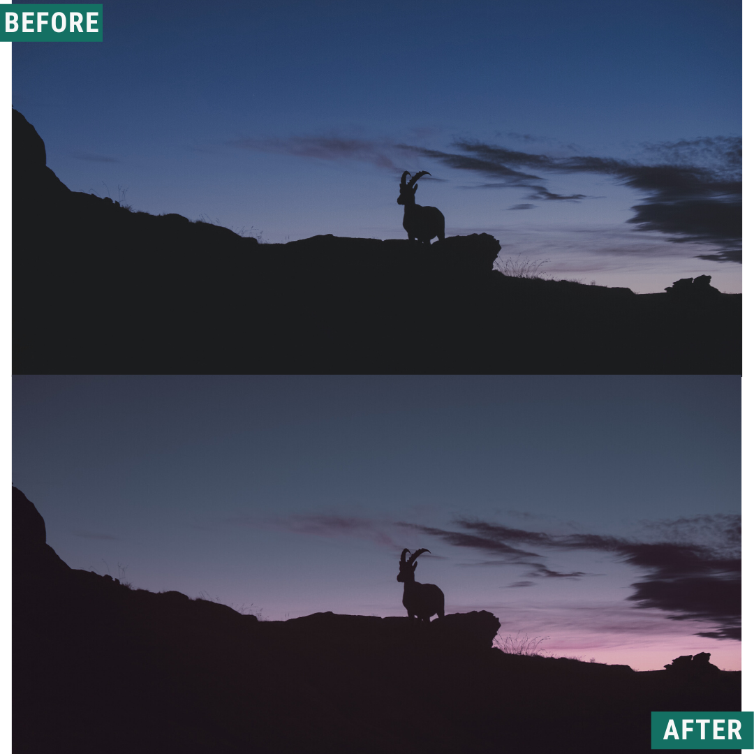 Cryptic Blue Hour Capture One & LUT Presets Paket