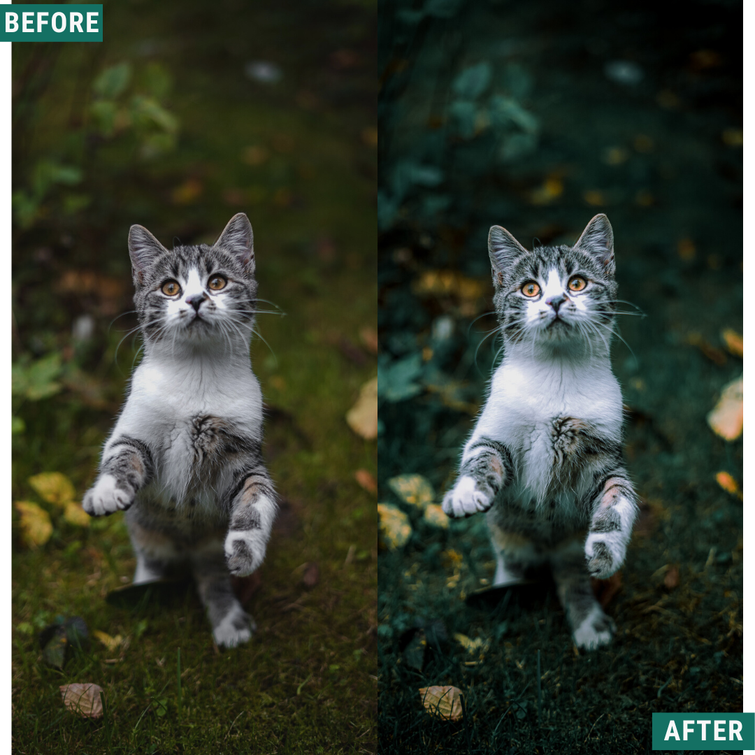 Deep Greens Lightroom-Presets-Paket