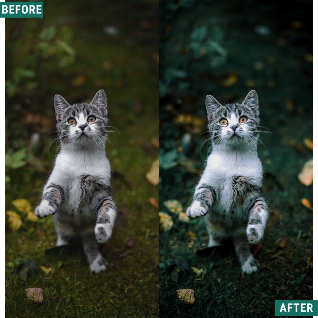 Deep Greens Lightroom Presets Pack