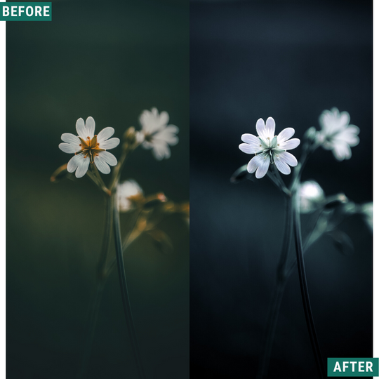 Deep Blues Lightroom-Presets-Paket