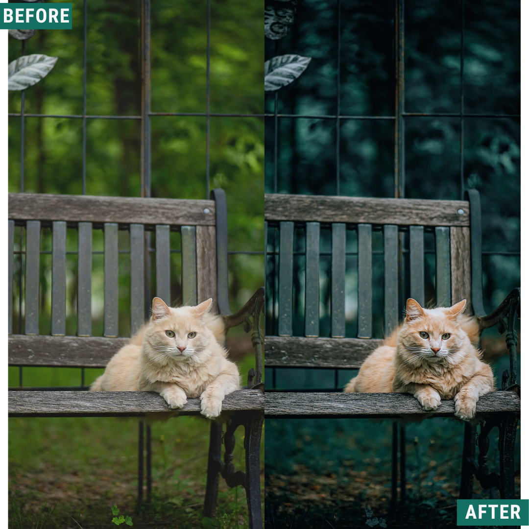 Deep Greens Lightroom-Presets-Paket