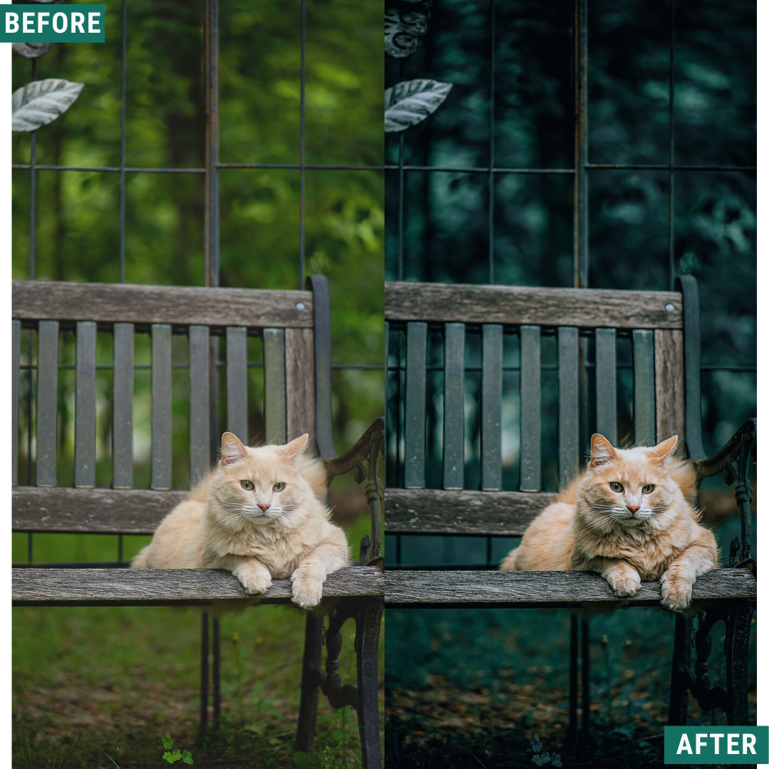 Deep Greens Lightroom Presets Pack