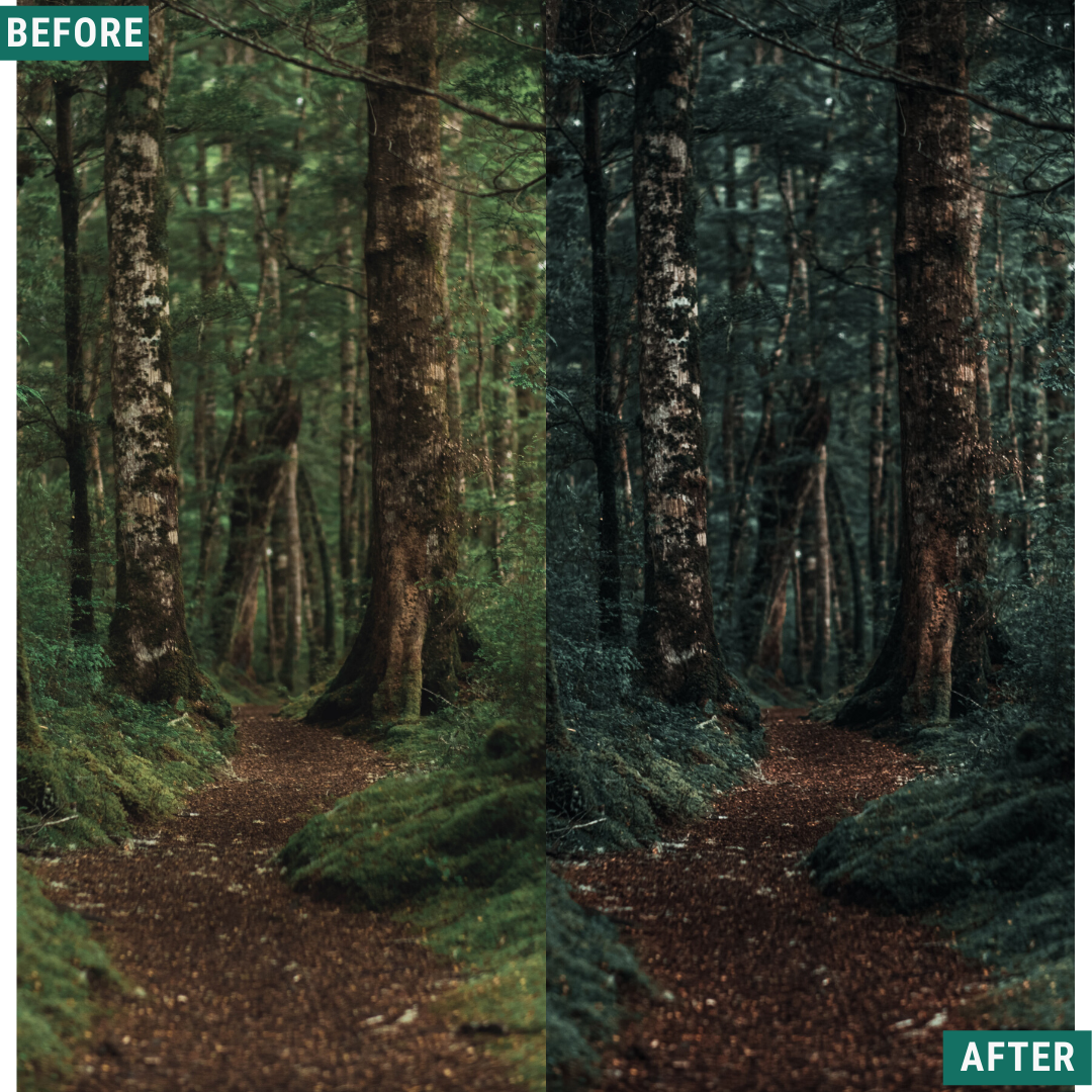 Dark Woods Lightroom-Presets-Paket