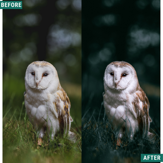 Deep Greens Lightroom-Presets-Paket