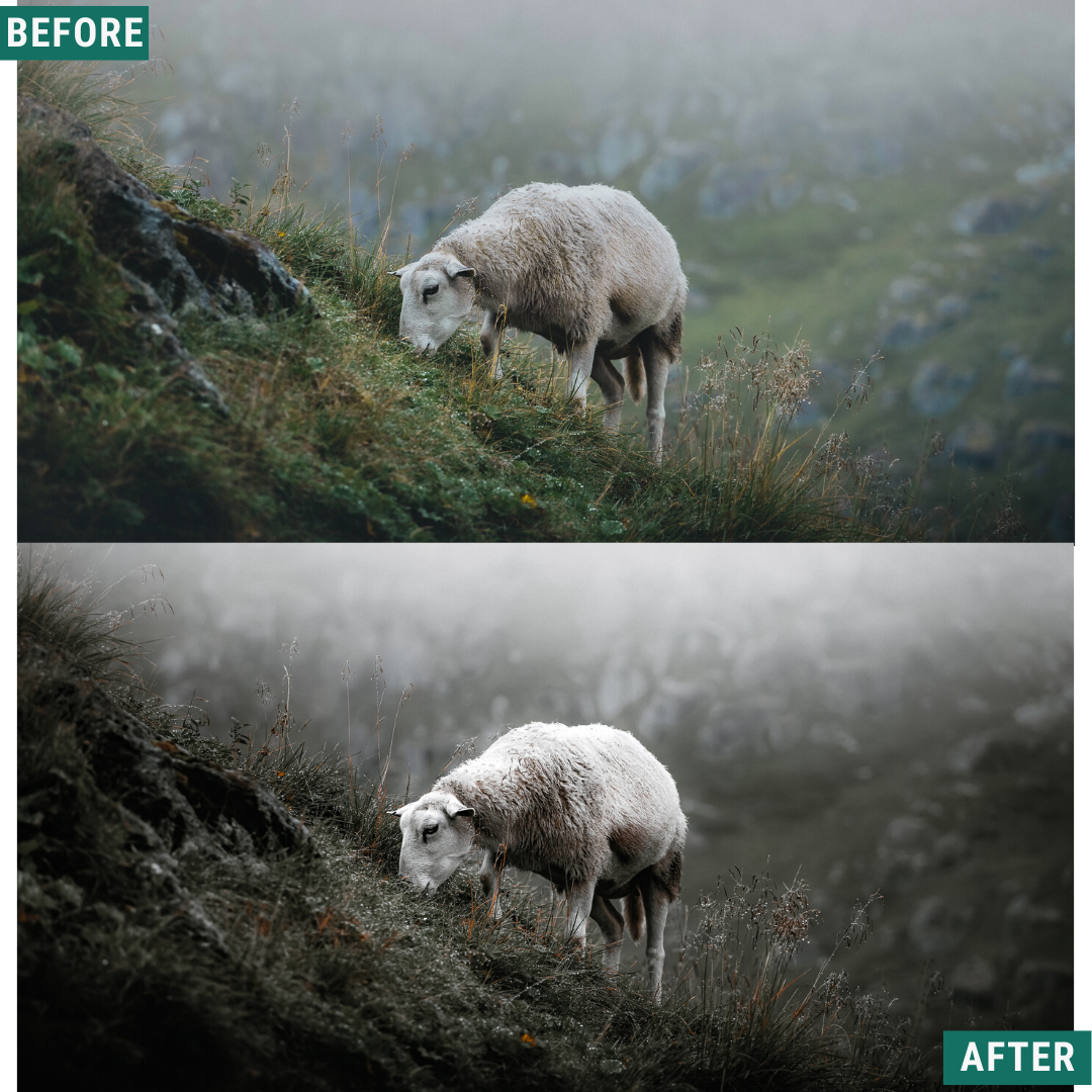 Dramatic Atmosphere Lightroom Presets Pack