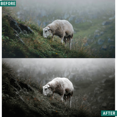 Dramatic Atmosphere Capture One & LUT Presets Pack