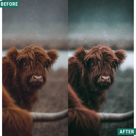 Deep Greens Lightroom-Presets-Paket