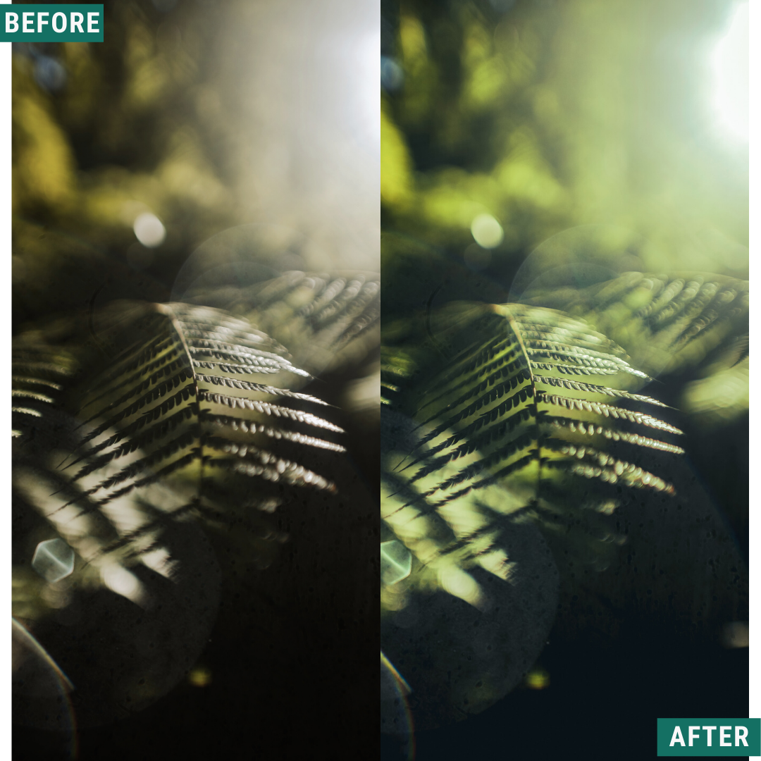 Bright Greens Lightroom-Presets-Paket