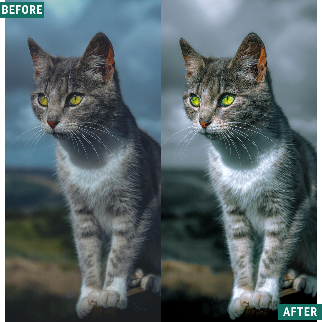 Deep Greens Lightroom Presets Pack