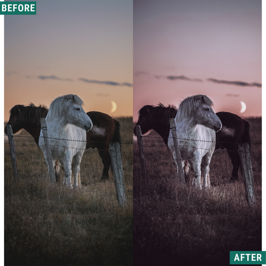 Cryptic Blue Hour Capture One & LUT Presets Pack