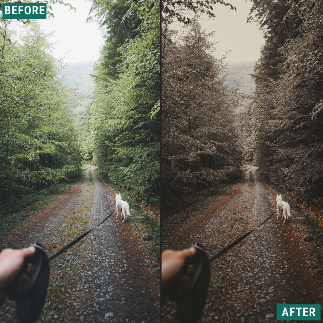 Terra Tones Lightroom-Presets-Paket