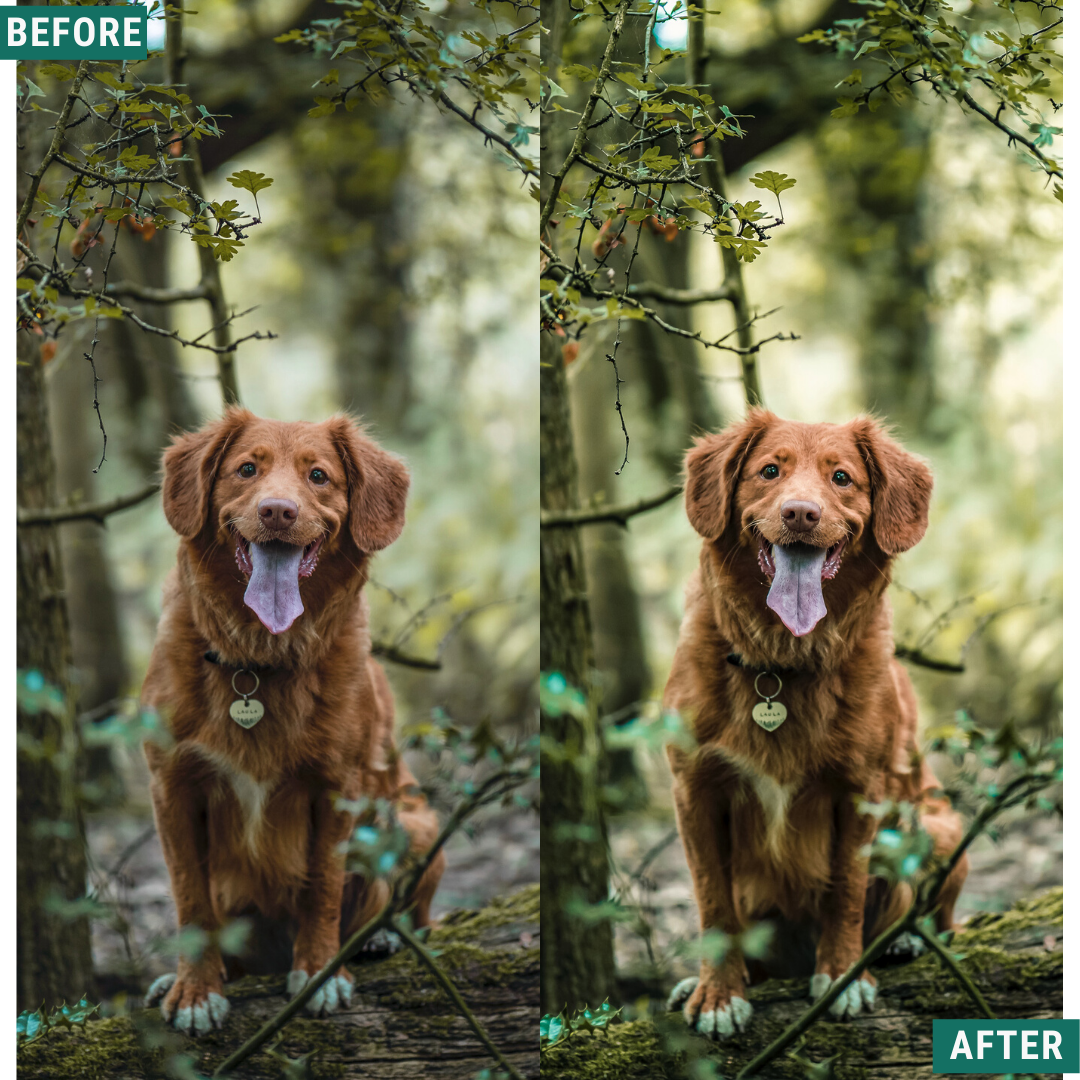 Bright Greens Lightroom-Presets-Paket