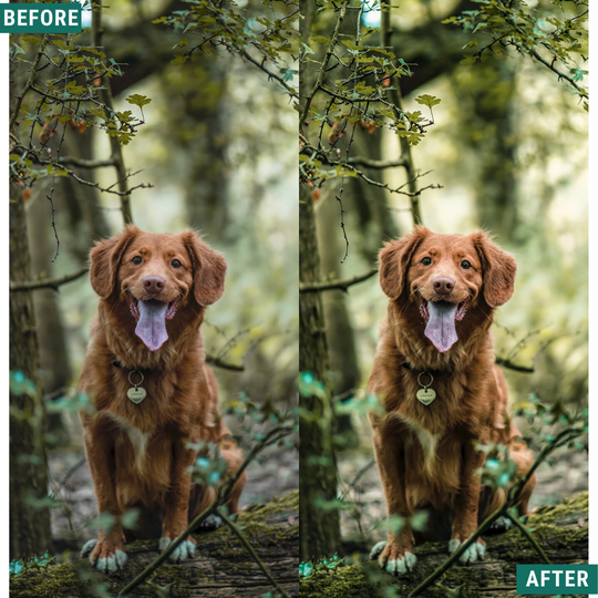 Bright Greens Lightroom Presets Pack