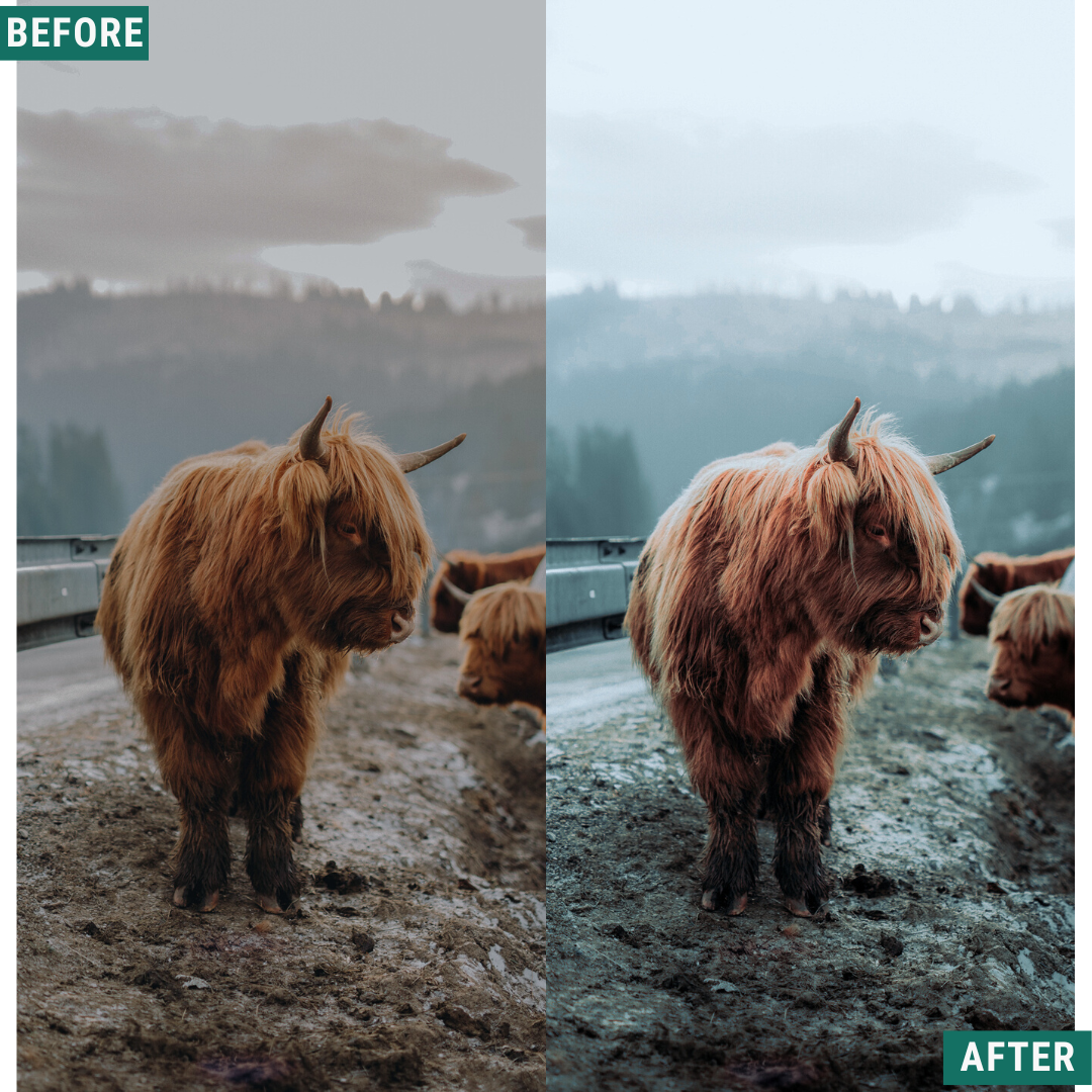Deep Greens Lightroom Presets Pack