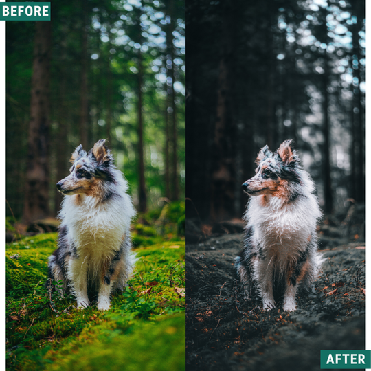 Rustic Blues Lightroom-Presets-Paket