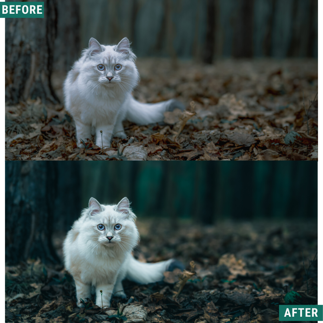 Deep Greens Lightroom Presets Pack