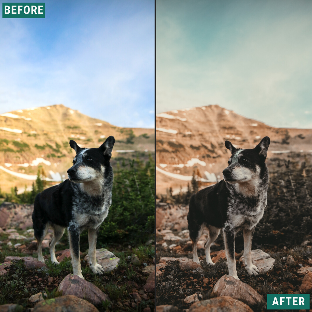 Terra Tones Lightroom Presets Pack