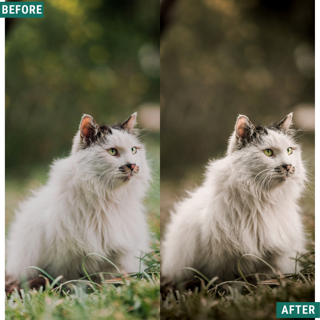 Rustic Mood Lightroom-Presets-Paket