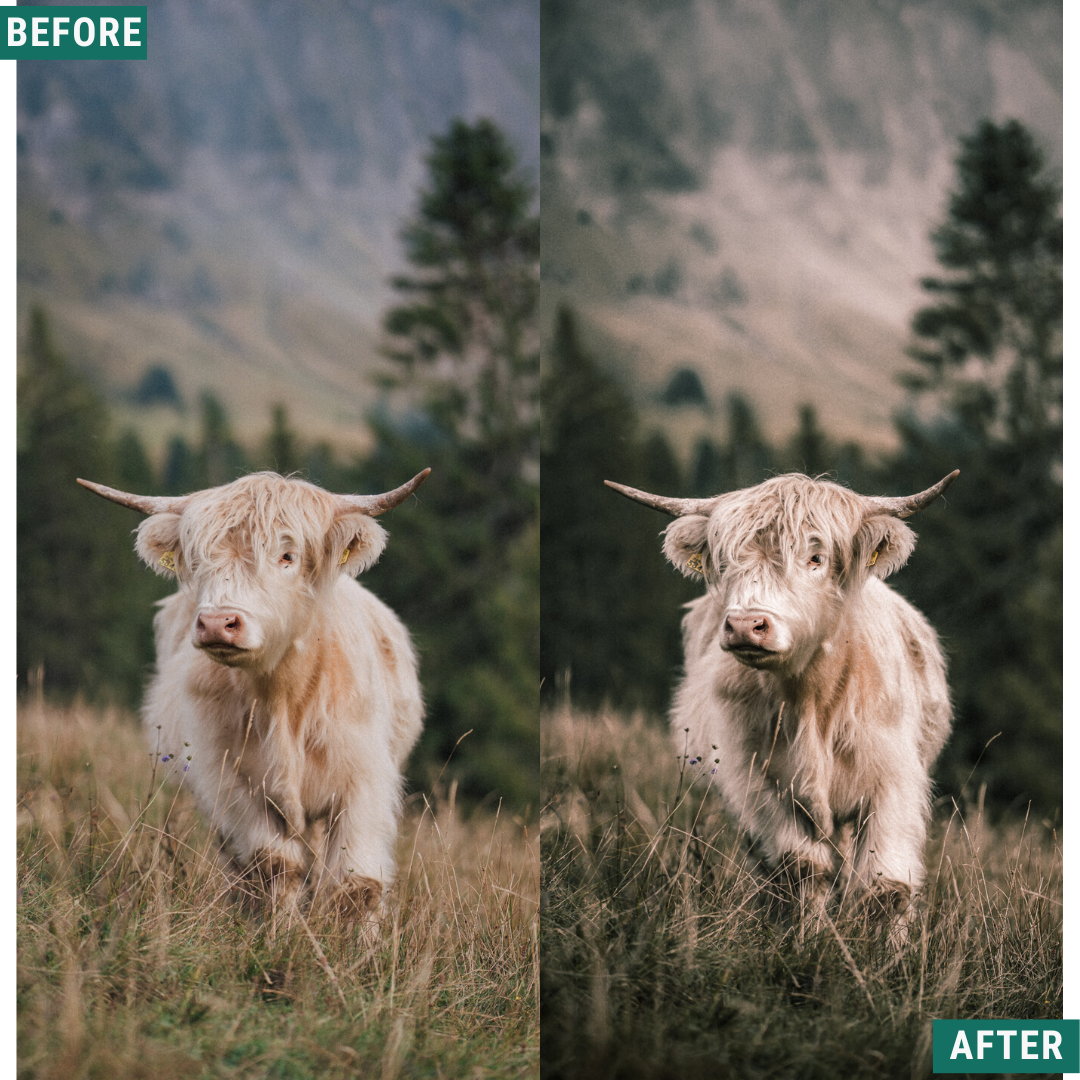 Rustic Mood Lightroom-Presets-Paket