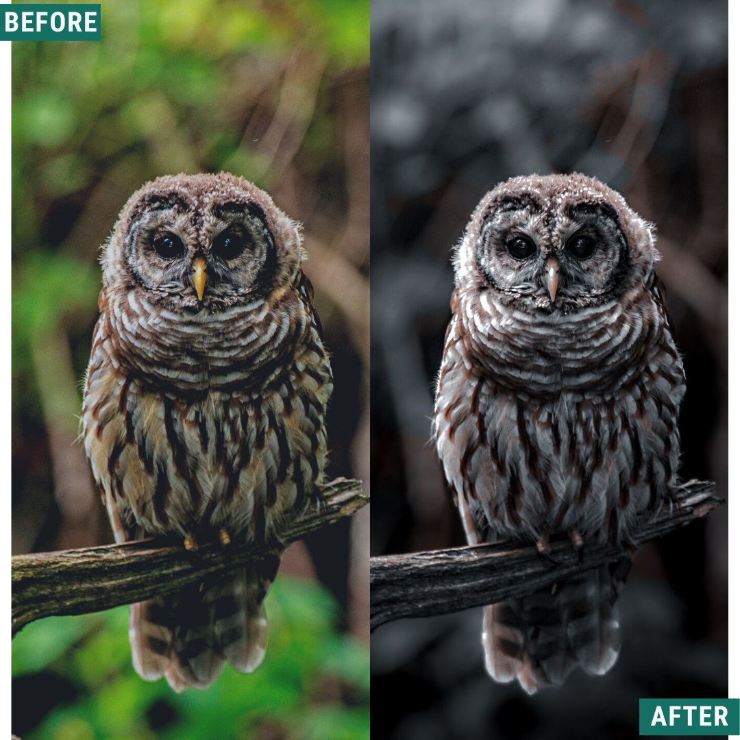 Spooky Tones Lightroom Presets Pack