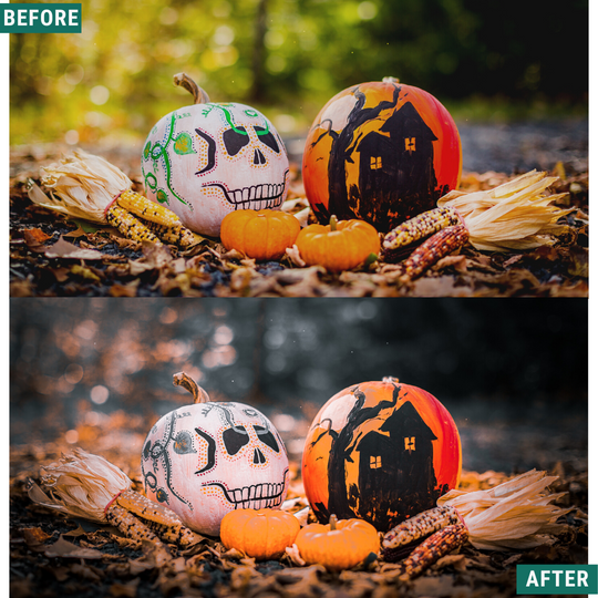 Spooky Mood LIMITED Lightroom Presets Pack