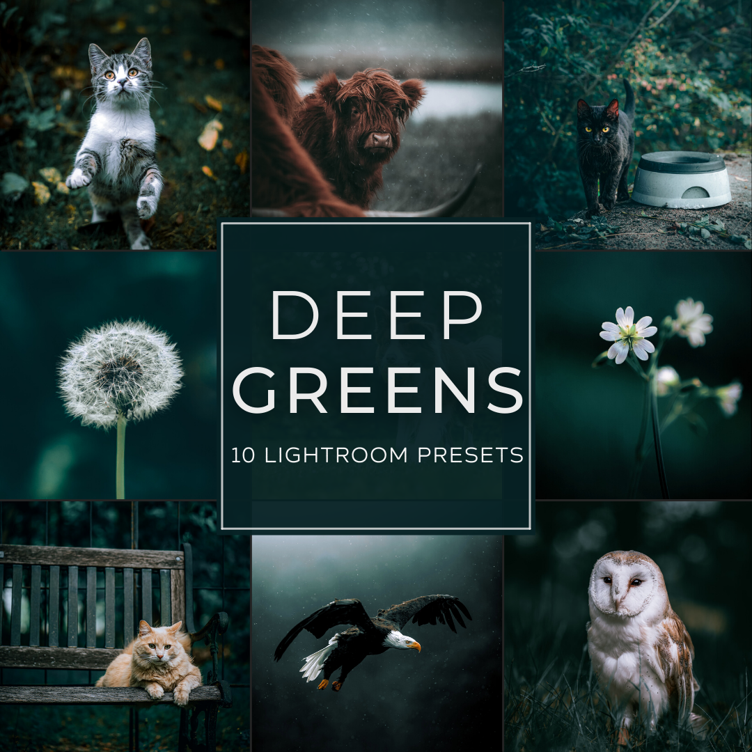 Deep Greens Lightroom Presets Pack