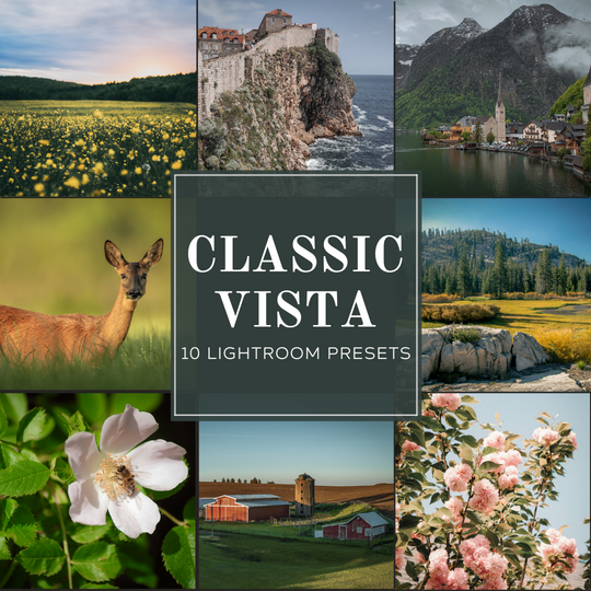 Classic Vista Lightroom-Presets-Paket