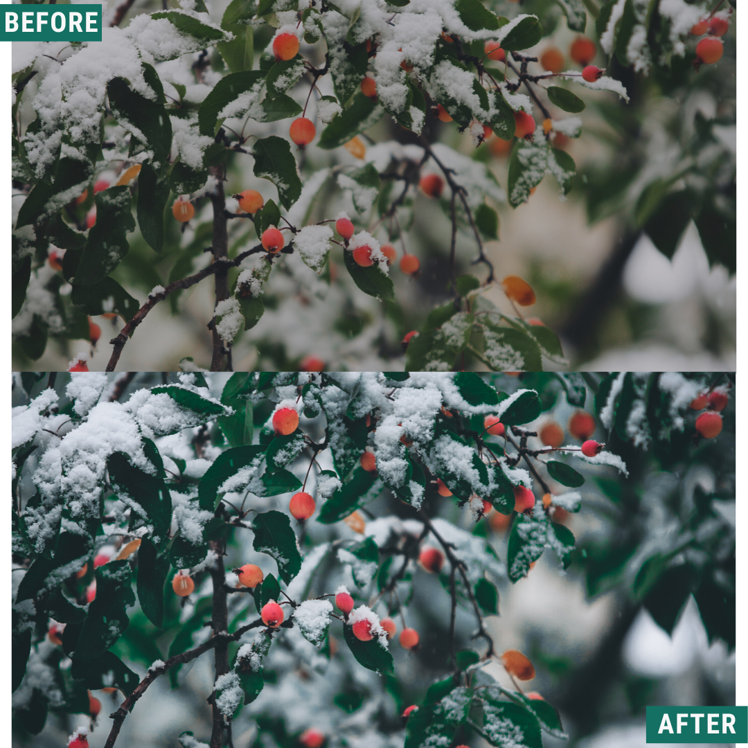 Festive Tones Lightroom-Presets-Paket