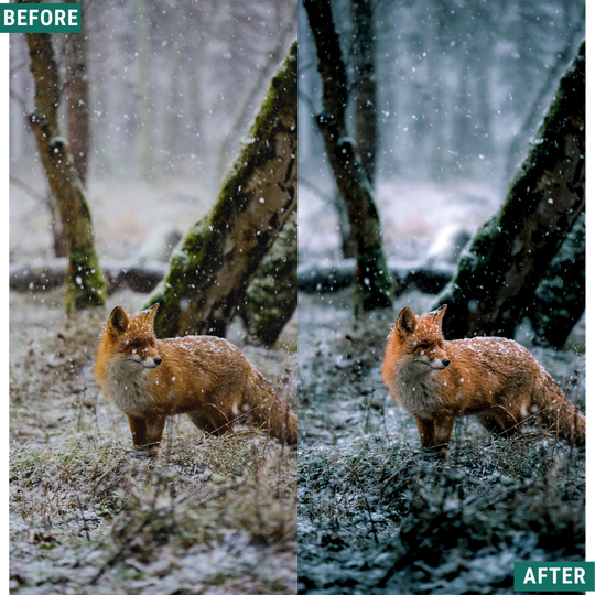 Cold Tones LIMITED Lightroom Presets Pack