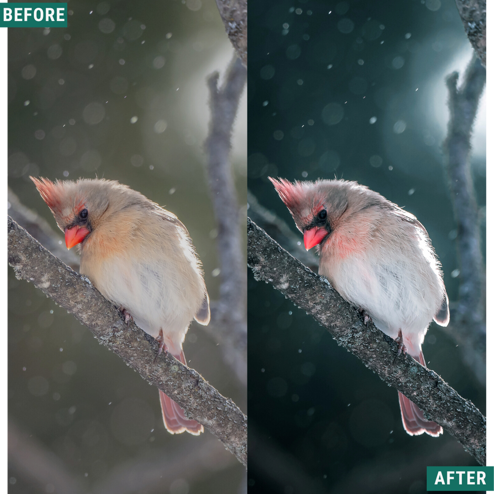 Festive Tones Lightroom-Presets-Paket