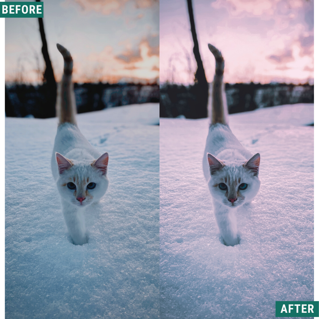 Winter Dawn LIMITIERTES Lightroom-Presets-Paket