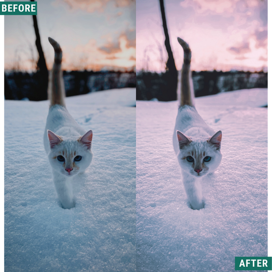 Winter Dawn Lightroom Presets Pack