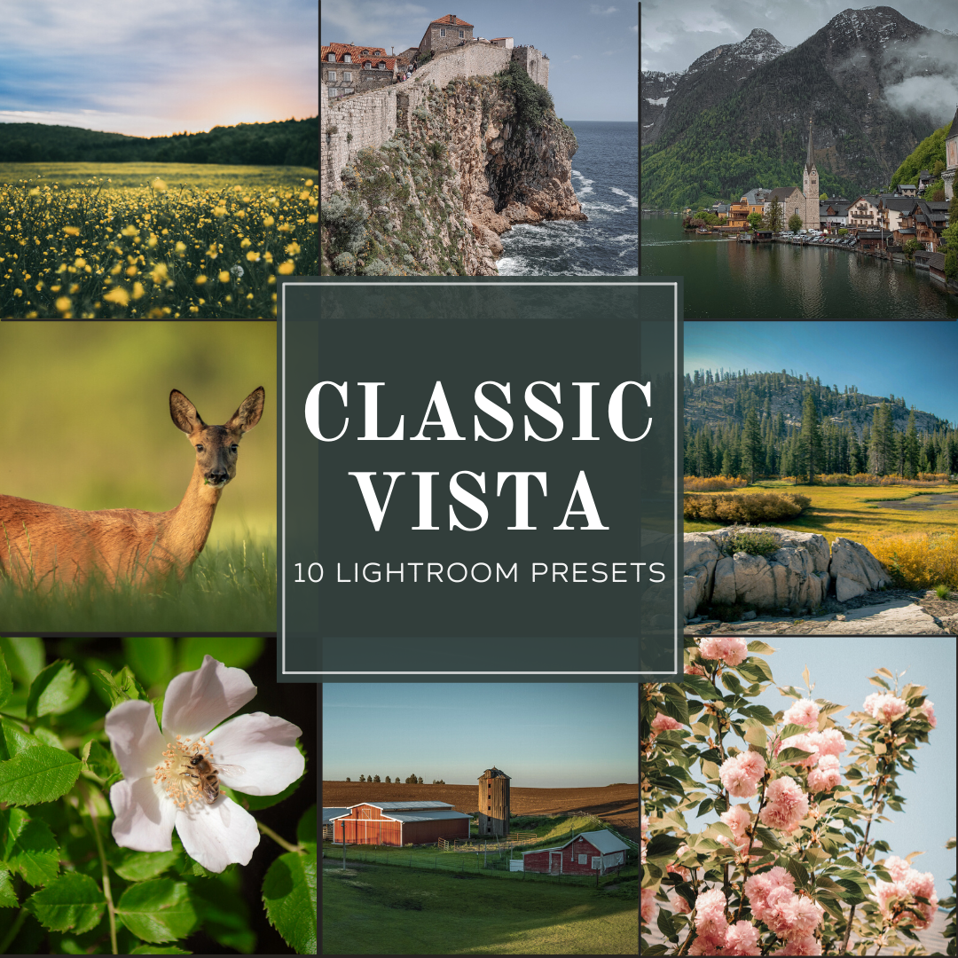 Classic Vista Lightroom Presets Pack
