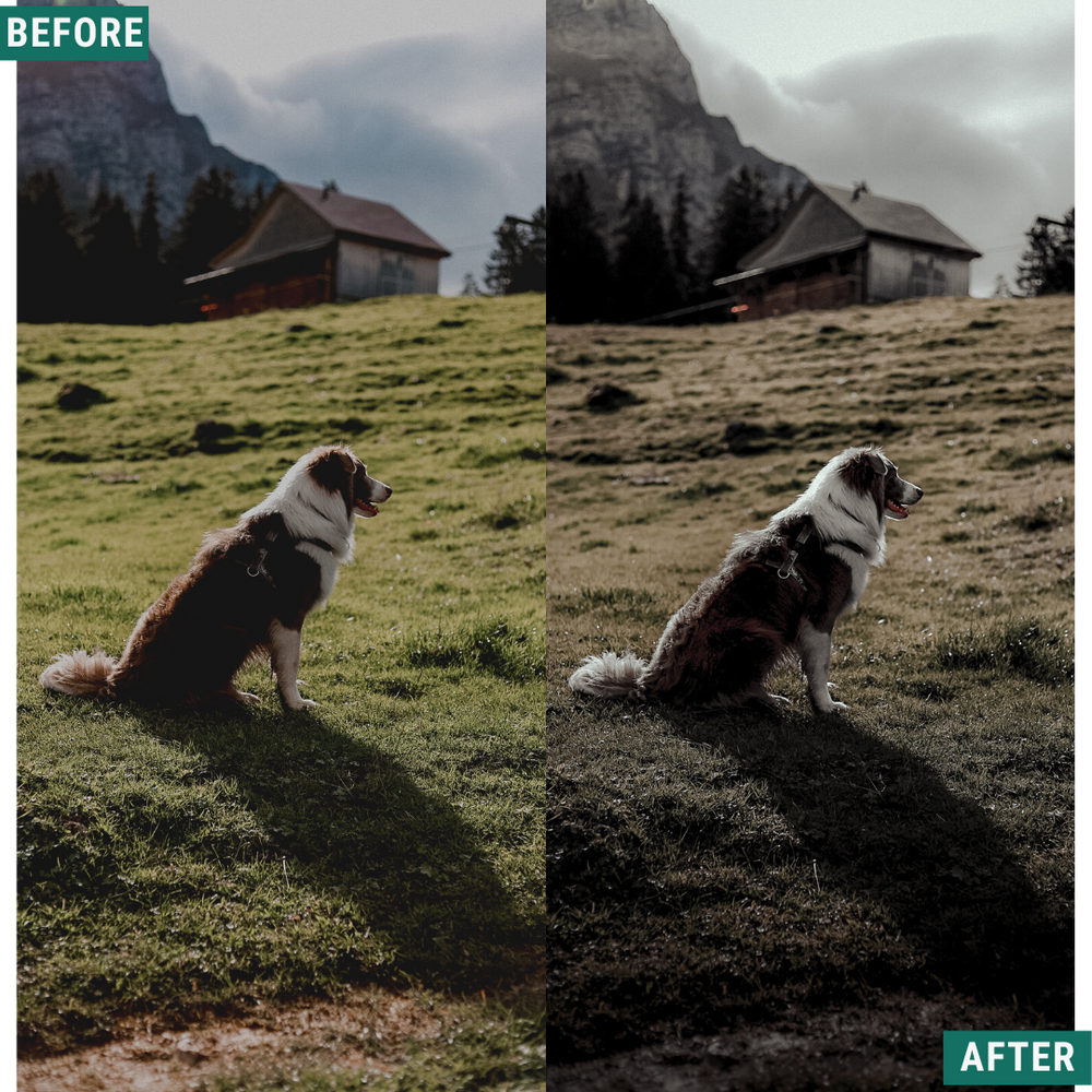 Dramatic Tones Lightroom Presets Pack