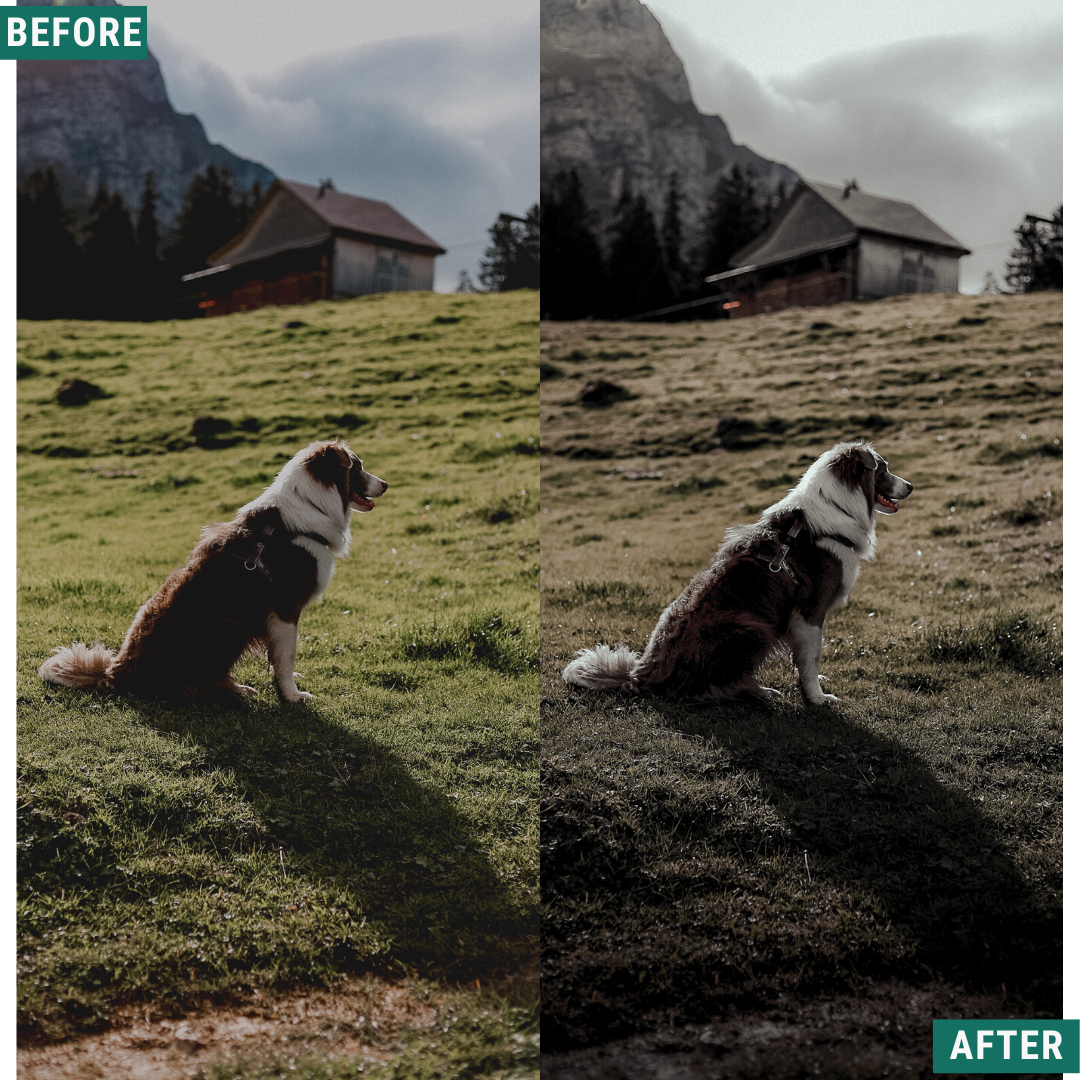 Dramatic Tones Lightroom Presets Pack