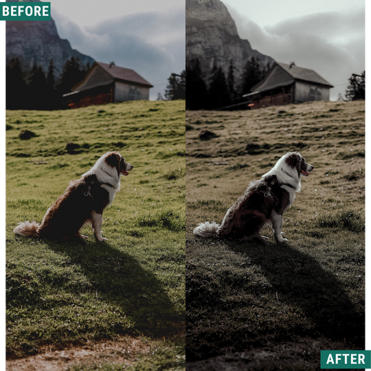 Dramatic Tones Lightroom Presets Pack