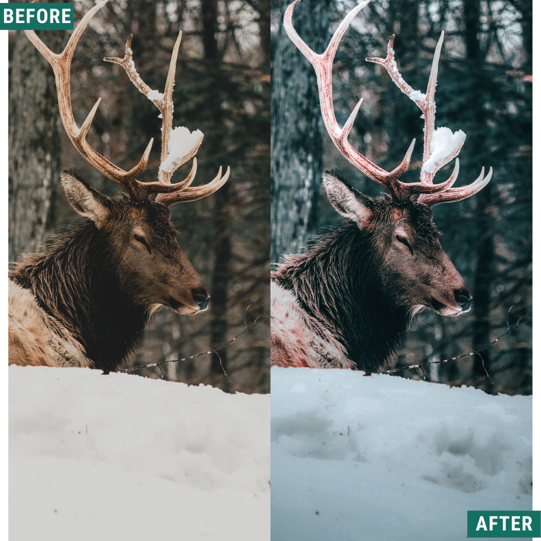 Festive Tones Lightroom-Presets-Paket