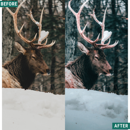 Festive Tones Lightroom-Presets-Paket