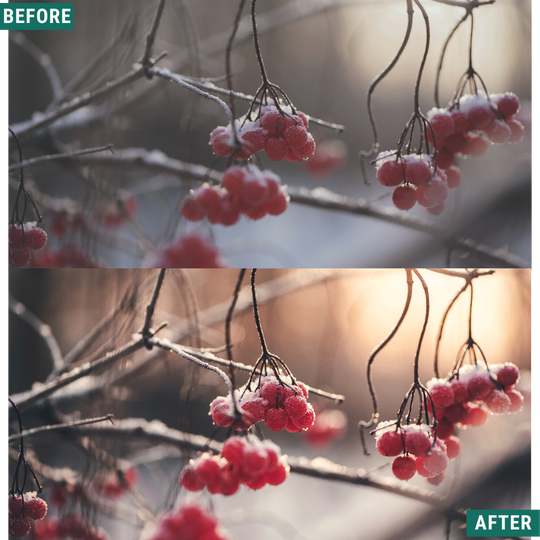 Rustic Winter LIMITED Lightroom Presets Pack