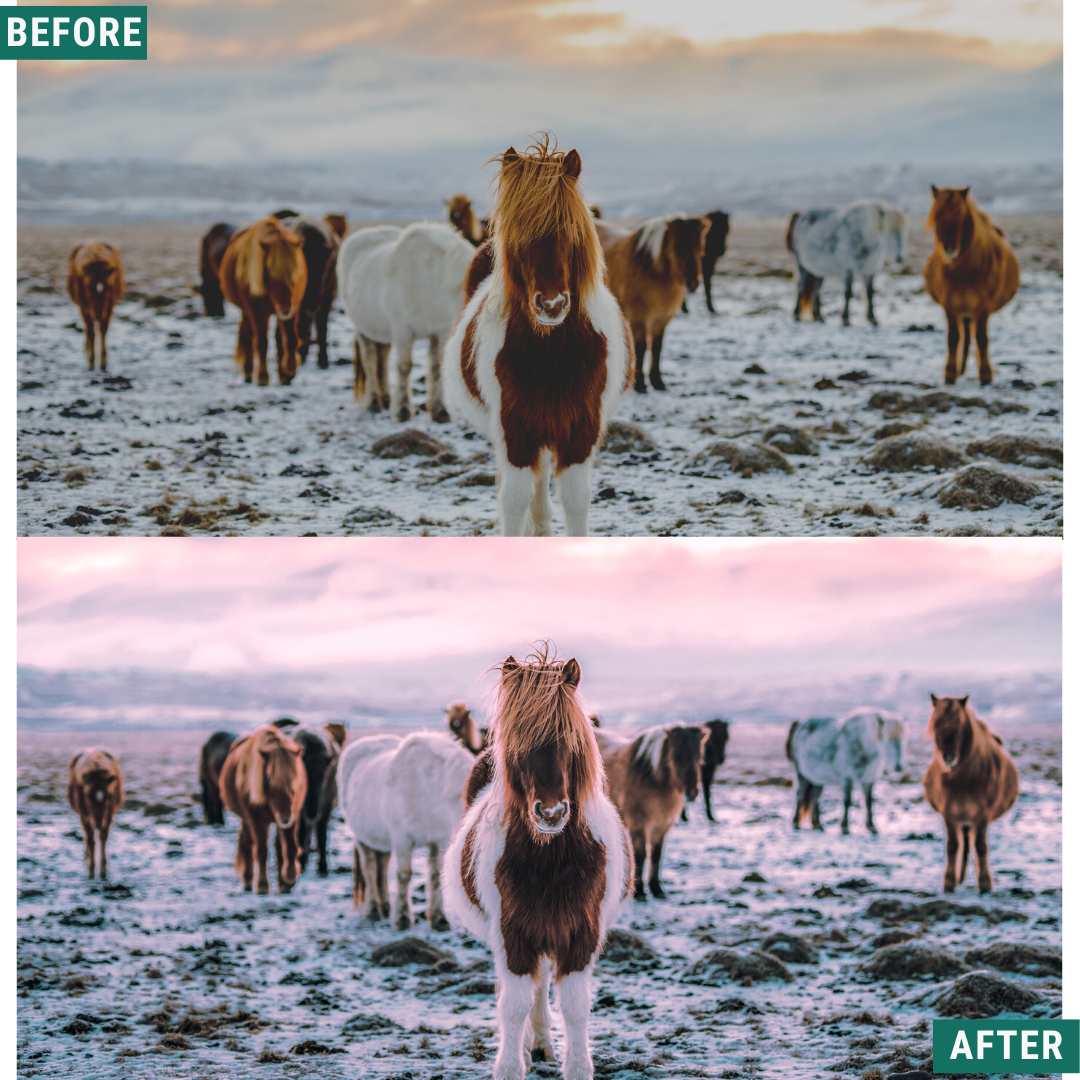 Winter Dawn Lightroom Presets Pack