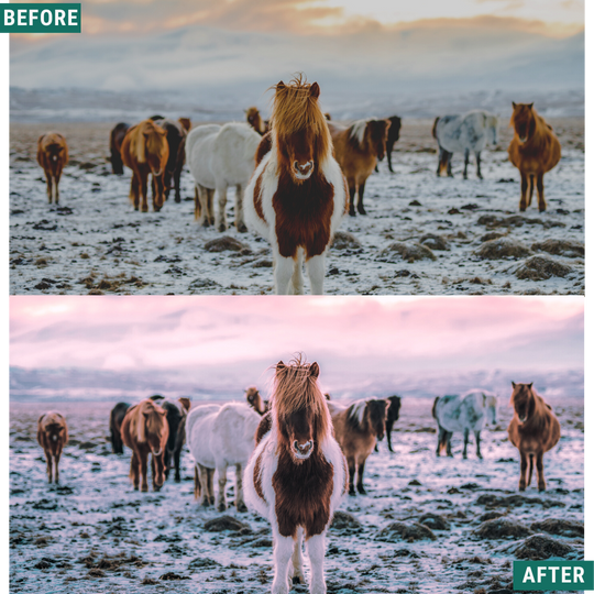 Winter Dawn Lightroom Presets Pack