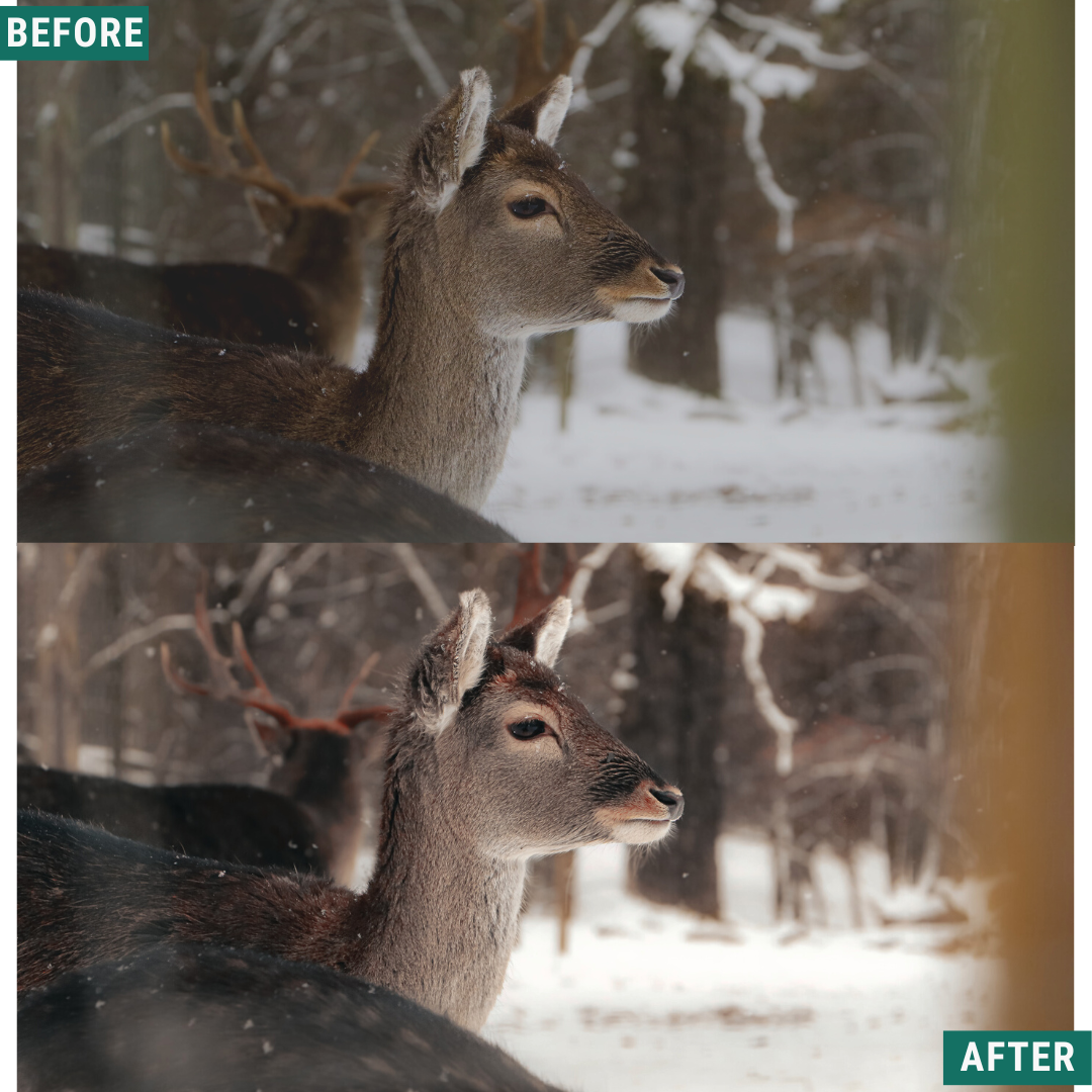 Rustic Winter LIMITIERTES Lightroom-Presets-Paket