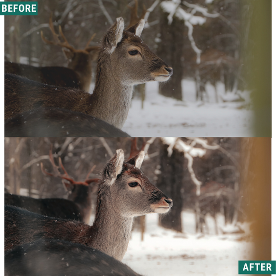 Rustic Winter LIMITIERTES Lightroom-Presets-Paket