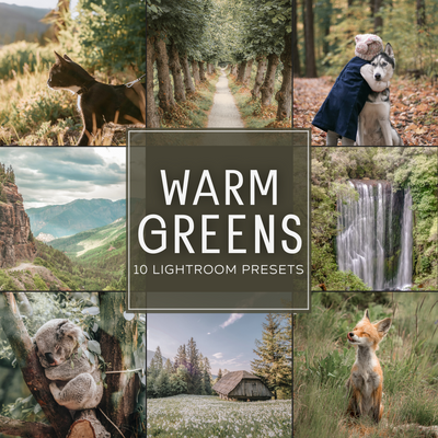Warm Greens LIMITED Lightroom Presets Pack