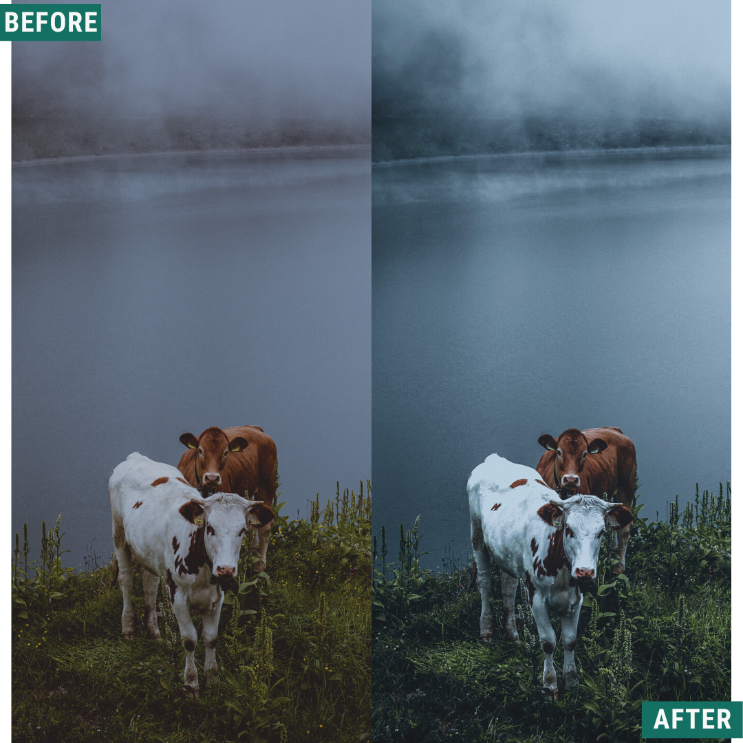 Cyan Mood Lightroom Presets Pack