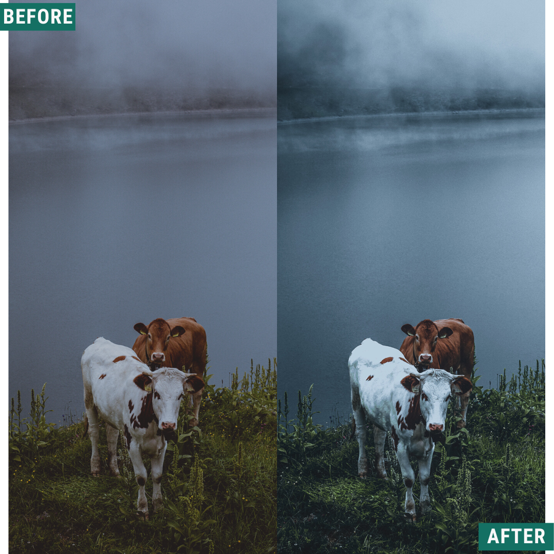 Cyan Mood Lightroom-Presets-Paket