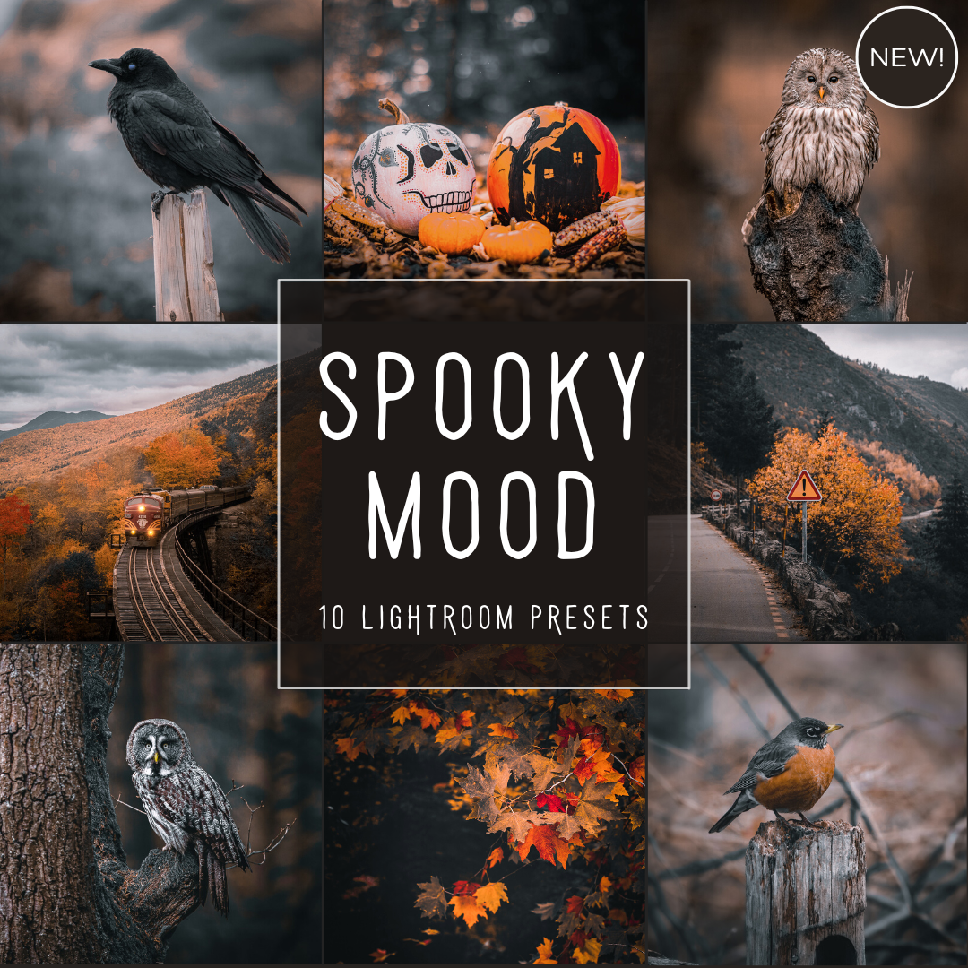 Spooky Mood LIMITED Lightroom Presets Pack
