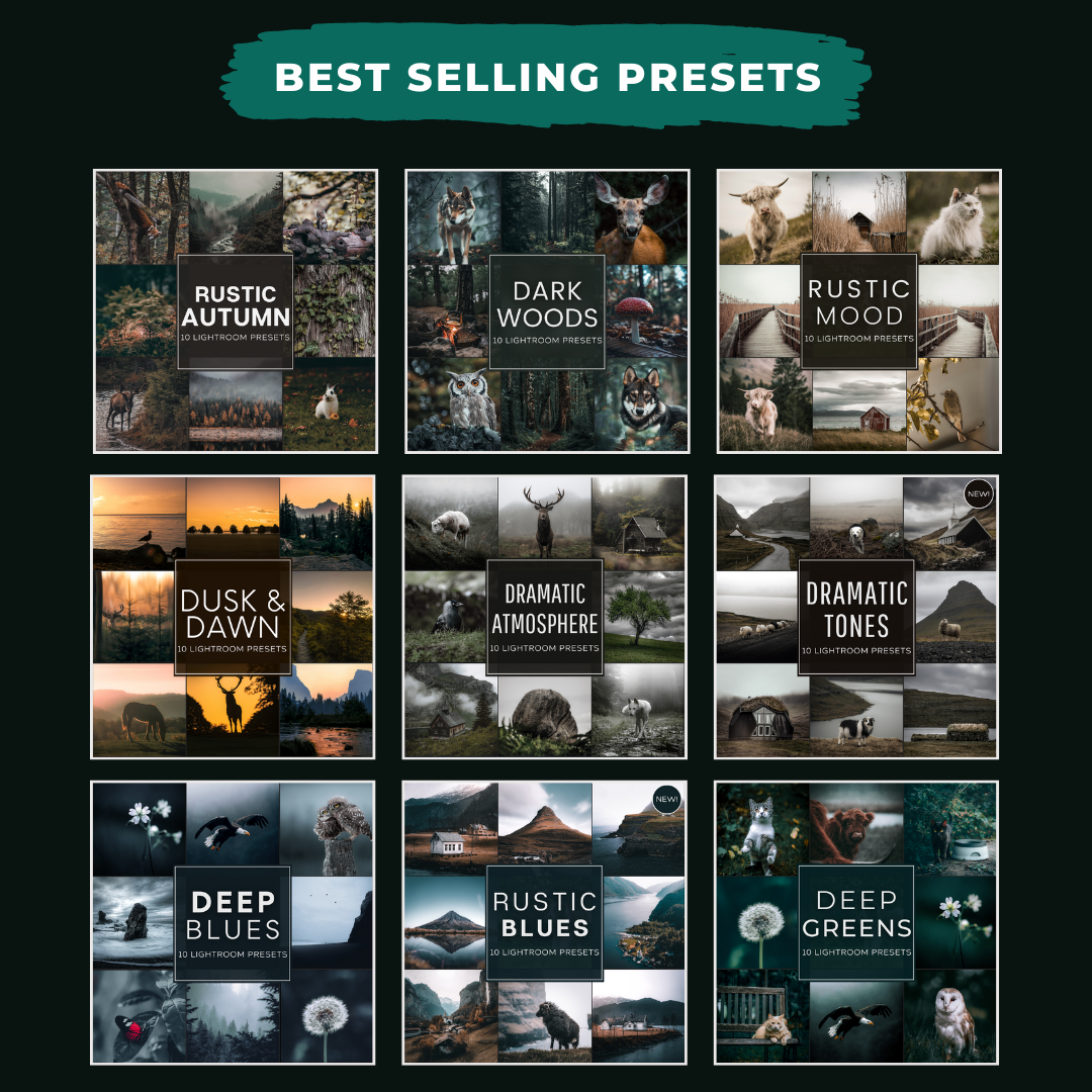 Master Collection Bundle 620 Lightroom Presets + 75 Bonus AI Winter Presets